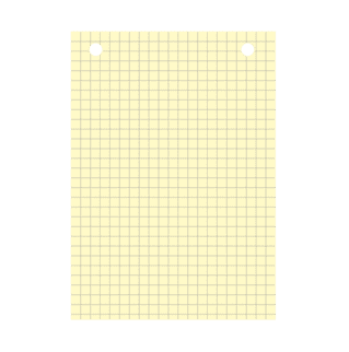 BLP10513J - Bristol jaune quadrillé 5x5 perforé - A6 - 20 fiches