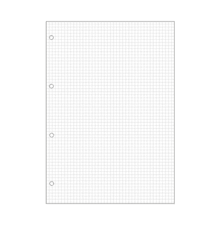BLP29713 - Bristol blanc quadrillé 5x5 perforé - A4 - 20 fiches