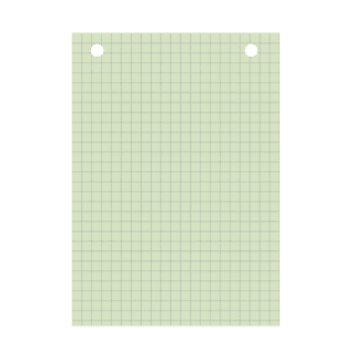 BLP10513V - Bristol vert quadrillé 5x5 perforé - A6 - 20 fiches