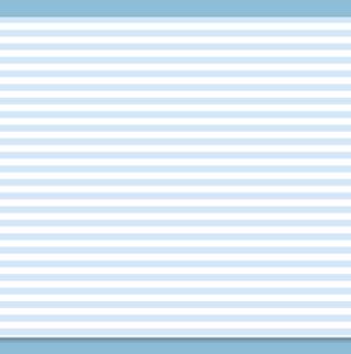 381171 - Listing 380x11''- zoné bleu - 70gr - BCF