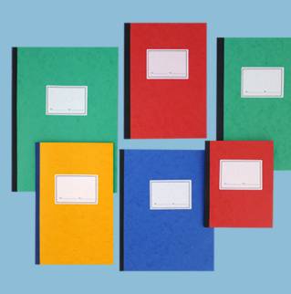 77301 - Piqûre quadrillée 5x5 non numérotée - 280 x 380 - 100 pages - x5