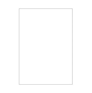 B100 - Bristol blanc uni - 100 x 150 - 100 fiches